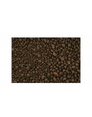 AMAZONIA SOIL VERSION 1 