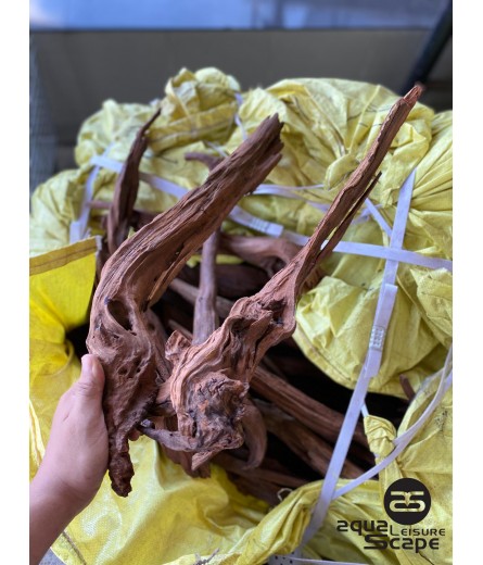 PREMIUM DRIFTWOOD BRANCHES