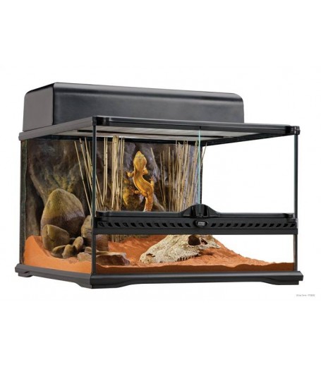 PT2603 45X45X30CM NATURAL TERRARIUM