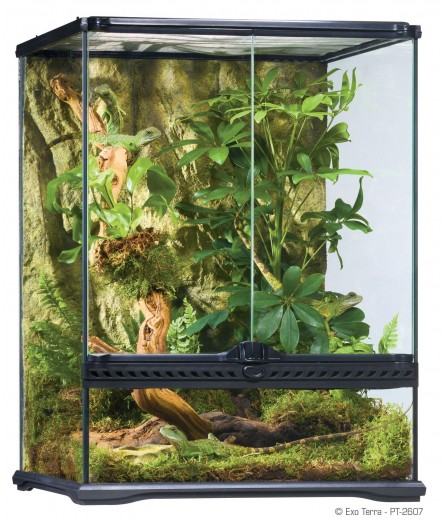 PT2607 45X45X60CM NATURAL TERRARIUM