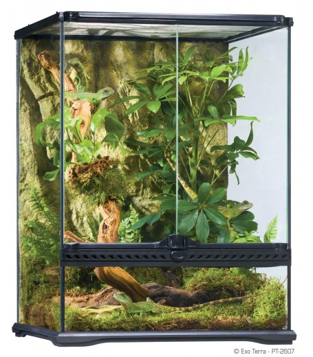 PT2607 45X45X60CM NATURAL TERRARIUM