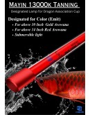 MAYIN 13000K TANNING LIGHT
