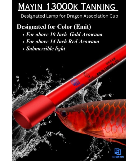 MAYIN 13000K TANNING LIGHT