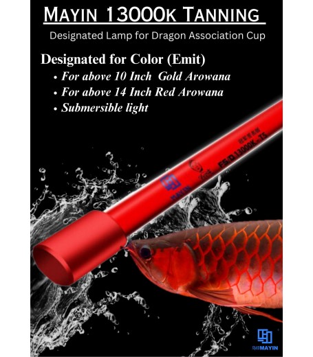 MAYIN 13000K TANNING LIGHT