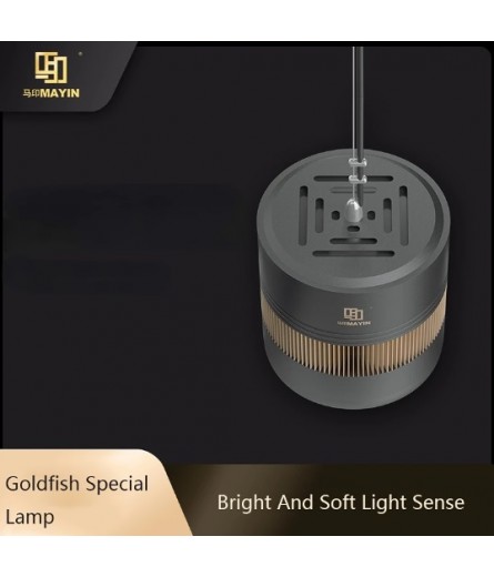 MAYIN CANISTER LAMP 100W
