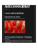 MAYIN 13000K TANNING LIGHT