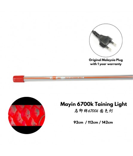MAYIN 6700K TANNING LIGHT