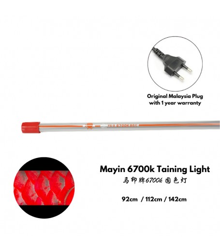 MAYIN 6700K TANNING LIGHT