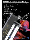 MAYIN ATOMIC LIGHT BOX 180CM