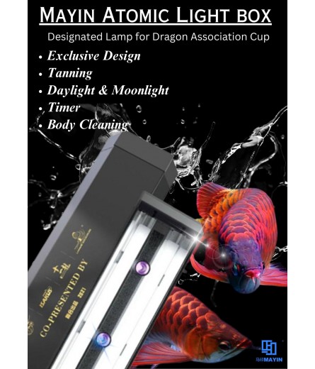 MAYIN ATOMIC LIGHT BOX 140CM
