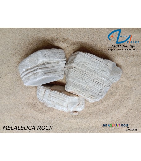 MELALEUCA ROCK