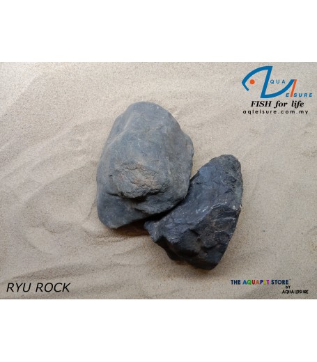 RYU ROCK