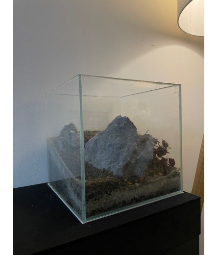 CUBE 25X25X25CM CRYSTAL CLEAR TANK