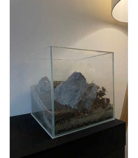 CUBE 25X25X25CM CRYSTAL CLEAR TANK