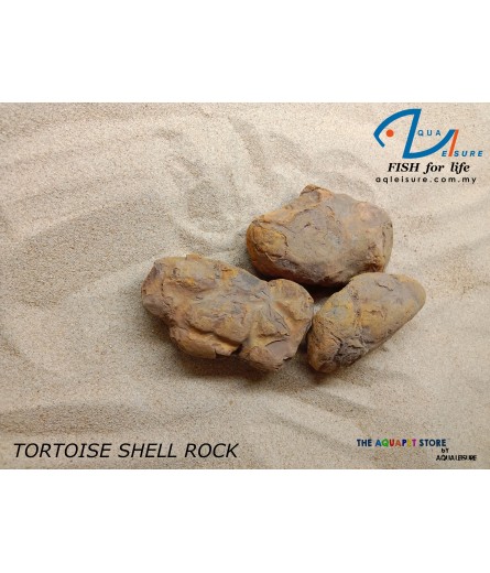 TORTOISE SHELL ROCK
