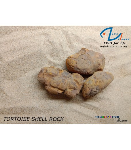 TORTOISE SHELL ROCK