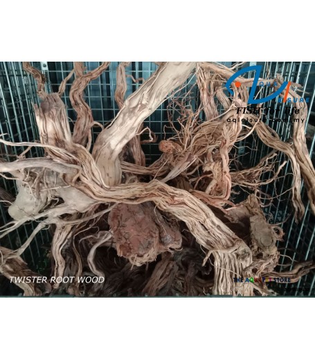 TWISTER ROOT WOOD
