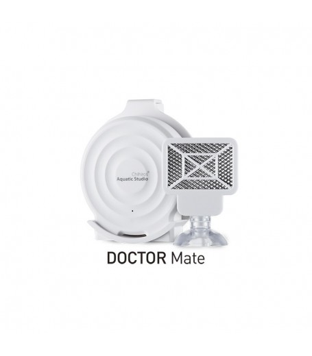 CHIHIROS DOCTOR MATE