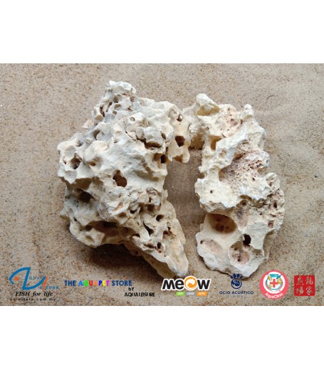 CORAL REEF STONE