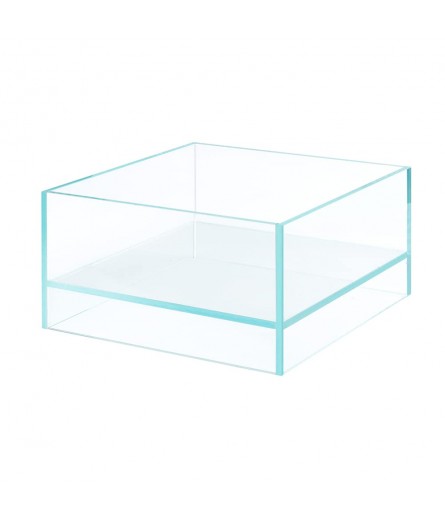 LINE UP CRYSTAL CLEAR TANK (5)
