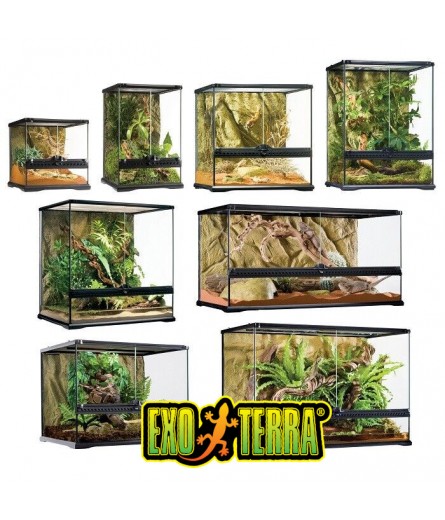 EXOTERRA  (14)