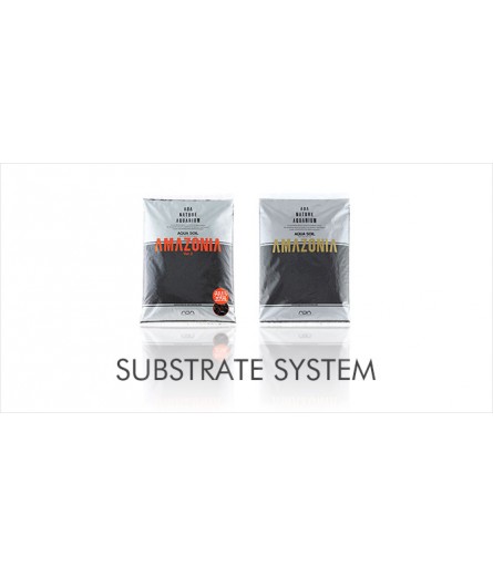 SUBSTRATE SYSTEM (12)