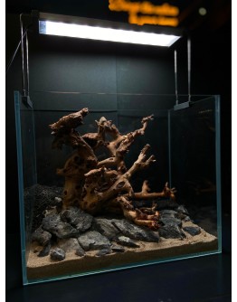 AQUALEISURE SCAPE A012