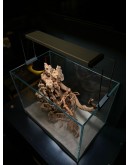 AQUALEISURE SCAPE A014