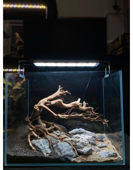 AQUALEISURE SCAPE A025