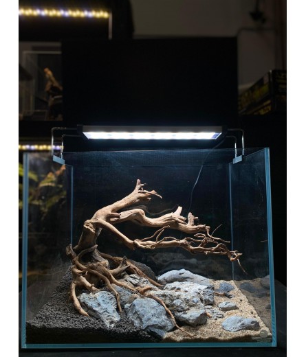 AQUALEISURE SCAPE A025