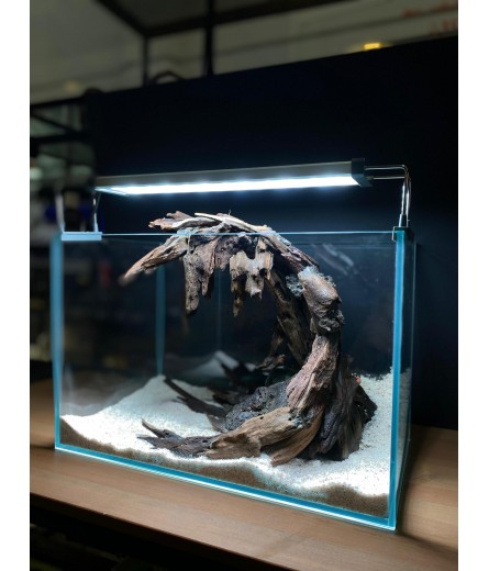 AQUALEISURE SCAPE A027