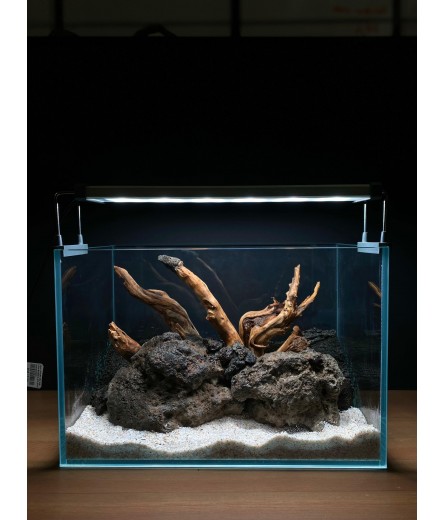 AQUALEISURE SCAPE A028