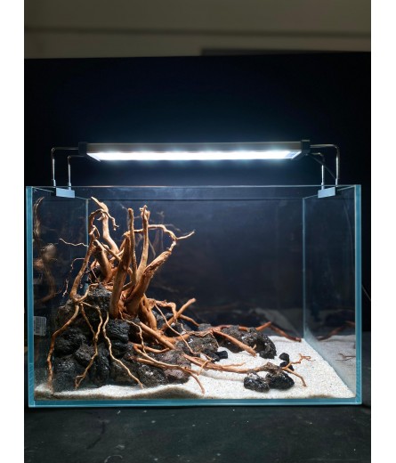 AQUALEISURE SCAPE A029