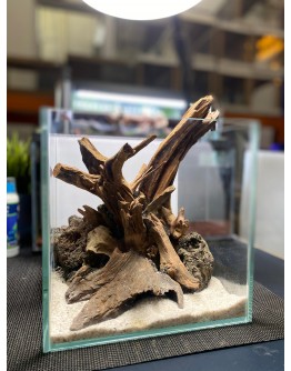 AQUALEISURE SCAPE A031