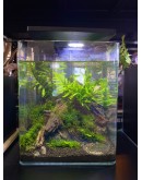 AQUALEISURE SCAPE A034 (SHRIMP TANK)