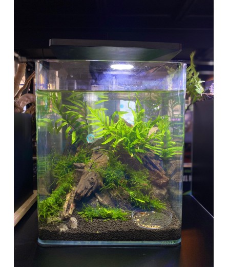 AQUALEISURE SCAPE A034 (SHRIMP TANK)