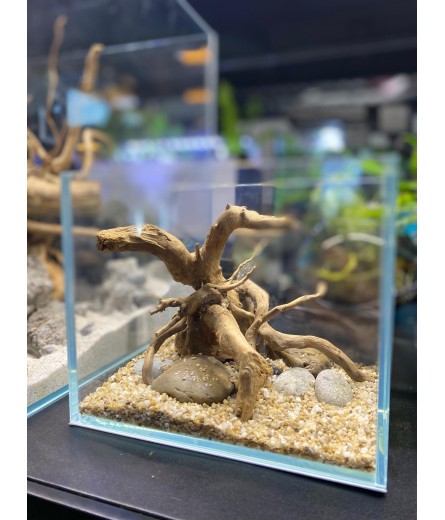 AQUALEISURE SCAPE A035