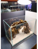 AQUALEISURE SCAPE A036