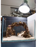 AQUALEISURE SCAPE A036