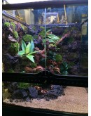 AQUALEISURE SCAPE P008