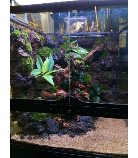 AQUALEISURE SCAPE P008