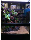 AQUALEISURE SCAPE P008