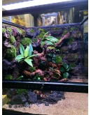 AQUALEISURE SCAPE P008