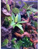 AQUALEISURE SCAPE P008