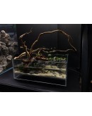 AQUALEISURE SCAPE P009