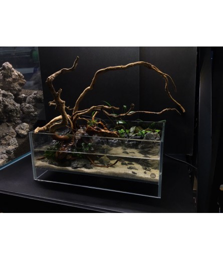 AQUALEISURE SCAPE P009