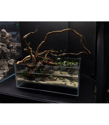 AQUALEISURE SCAPE P009