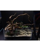 AQUALEISURE SCAPE P009