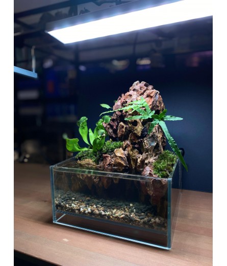 AQUALEISURE SCAPE P011
