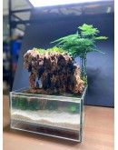 AQUALEISURE SCAPE P012